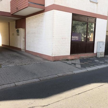 Monteurwohnung Im Zentrum Worms Exterior photo